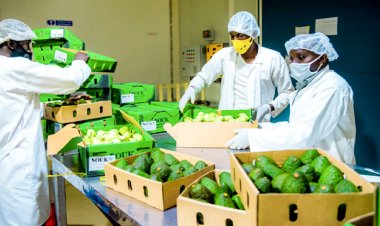 Hari Abanyarwanda bibaza uko ibyoherezwa mu mahanga byiyongera nyamara bo batihagije