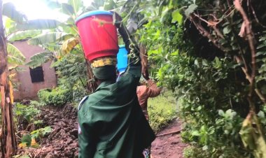 Musanze: Abarerera mu rwunge rw'amashuli rwa Birira barinubira amafunguro ahabwa abana