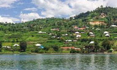 " Duturiye I Kivu ariko amafi ntatugeraho" abatuye ibice by'ibyaro basaba isoko ryayo