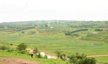 Abahinzi b'umuceri mu gishanga cya Cyaruhogo babangamiwe no kuweza bakabura aho bawubika