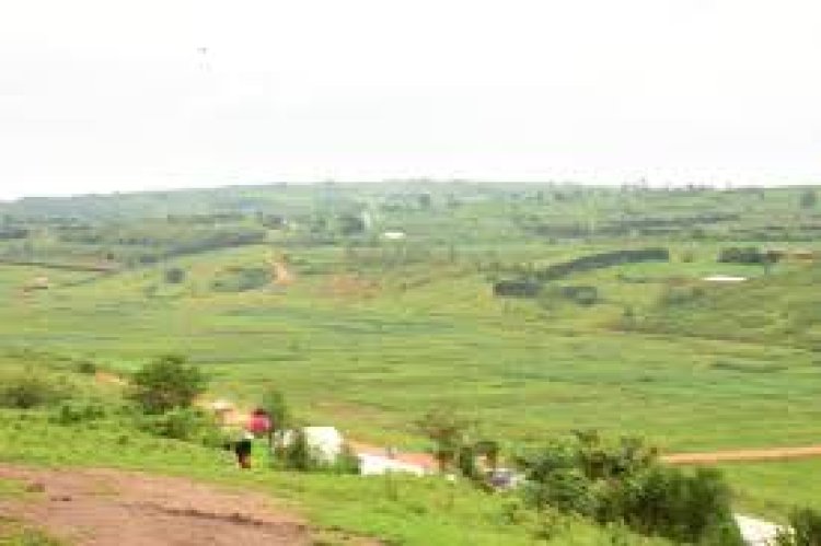 Abahinzi b'umuceri mu gishanga cya Cyaruhogo babangamiwe no kuweza bakabura aho bawubika