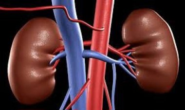 Gutanga impyiko: ni ubutabazi cyangwa kwishyira mu kaga?