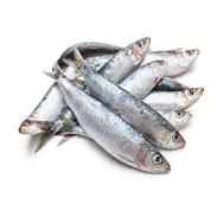 Rusizi: abaroba n'abatunganya isambaza baracyagowe n'ubuziranenge