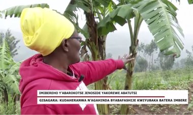 Gisagara: Kudaheranwa n'agahinda byabafashije kwiyubaka batera imbere