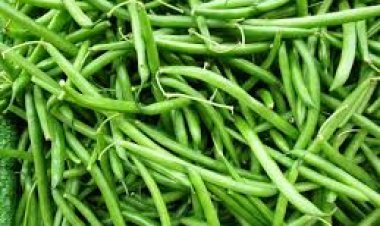 Abahinzi barasaba ko hajyaho ubwishingizi bw'ibihingwa kugera ku musaruro