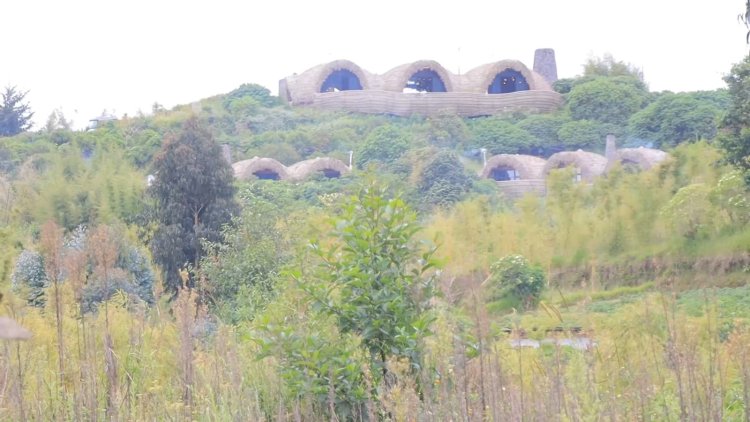 Musanze: Umuryango wimuwe hafi ya Bisate Lodge ngo utaribwa n'inyamaswa ugiye kuhasubira