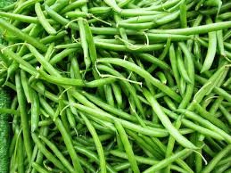 Abahinzi barasaba ko hajyaho ubwishingizi bw'ibihingwa kugera ku musaruro