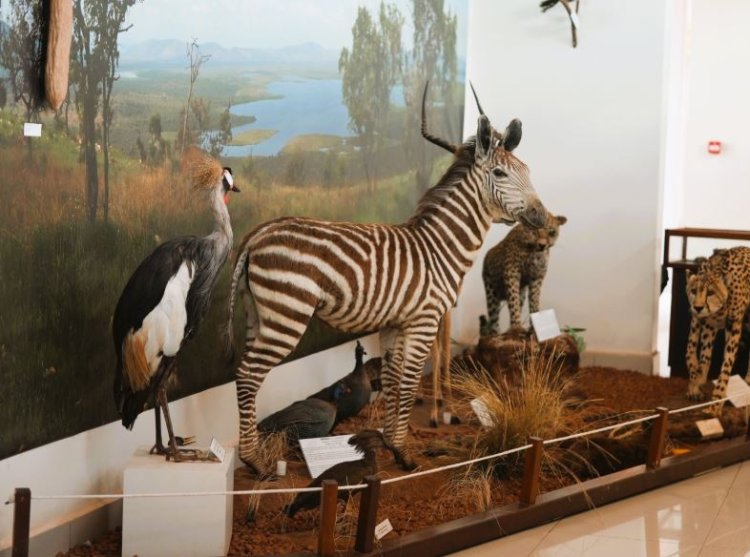 Ingoro ndangamurage zigaragara hirya no hino mu Rwanda zikwiye kubyara inyungu ku bazituriye