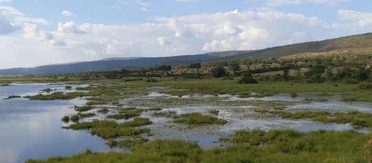 Kayonza:  Barasaba ko igishanga kinini cya Rwinkwavu - Kageyo - Murundi cyatunganywa