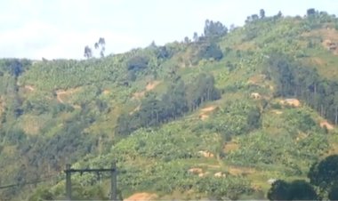 Gakenke- Busengo: Bahangayikishijwe no gusoreshwa ubutaka bwashyizwe mu manegeka