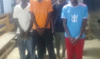 Kigali: Abantu 37 batawe muri yombi bakekwaho ubujura no gukoresha ibiyobyabwenge