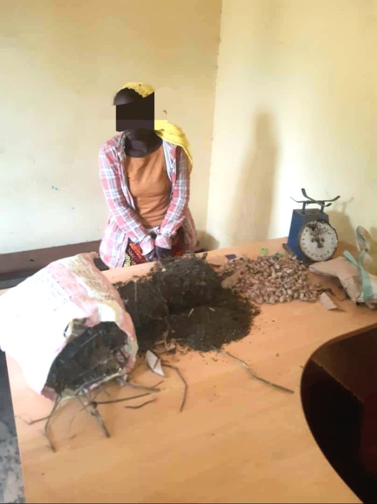 Nyarugenge: Polisi yafashe umugore ucuruza urumogi