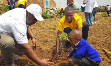 Nyamagabe: Hatewe ibiti by'imbuto ziribwa bisaga 5000 mu bigo by'amashuri (Amafoto)