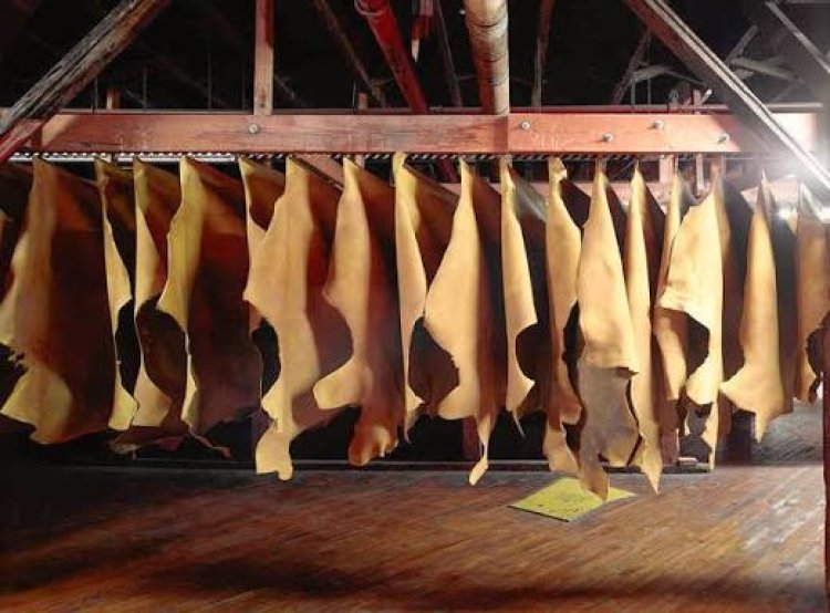 Hagiye kubakwa icyanya cy’inganda gitunganya ibikomoka ku mpu