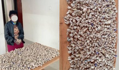 Bamusanganye udupfunyika ku musego w'igitanda - Polisi yataye muri yombi umugore wacuruzaga urumogi