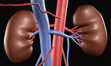  U Rwanda rwazigamye miliyari 1,1 Frw mu gutanga serivisi zo gusimbuza impyiko