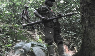 RDC yatangije igikorwa cyo guhiga FDLR, yagaragaje imbogamizi  za bimwe mu birindiro biri ahagenzurwa na AFC/M23