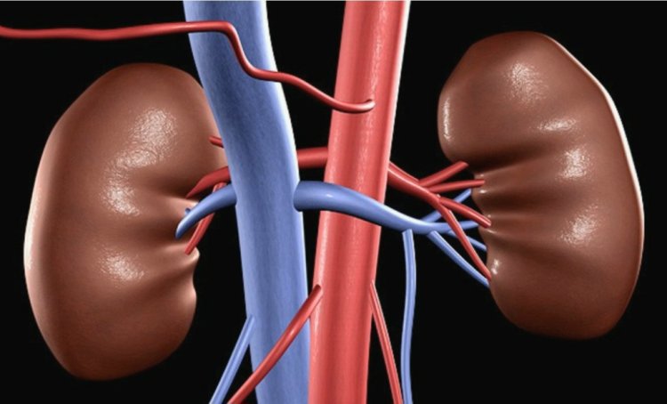 U Rwanda rwazigamye miliyari 1,1 Frw mu gutanga serivisi zo gusimbuza impyiko