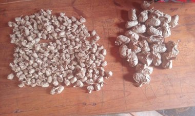 KIGALI: Polisi yafatiye mu cyuho abagabo babiri bacuruza urumogi 