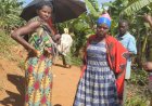 Rwamagana: Umukecuru w’imyaka 70 yapfuye, bikekwa ko yishwe n’umuhungu we